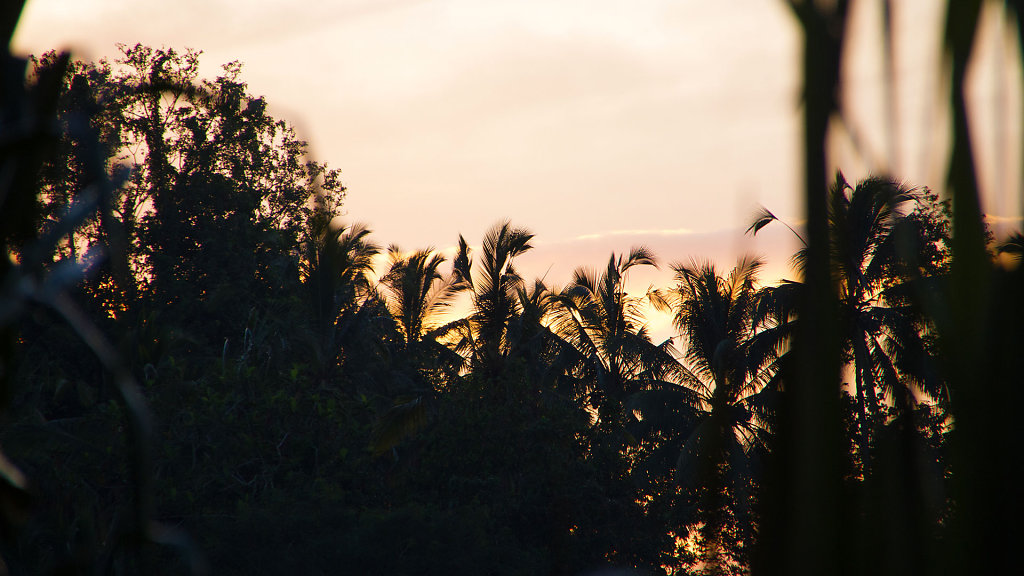 IMG-5316.jpg