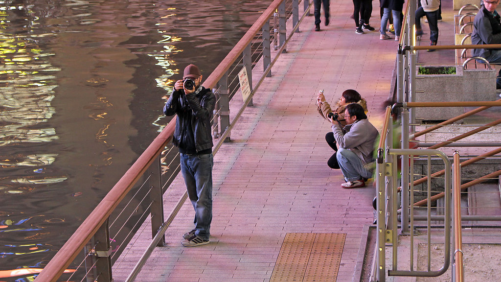 IMG-6383x.jpg
