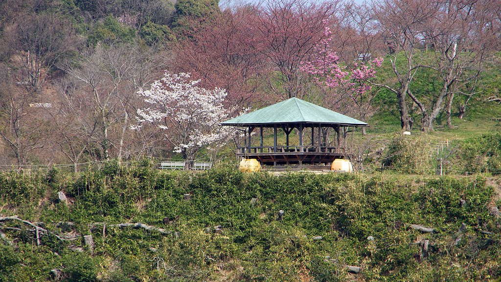IMG-6891.jpg