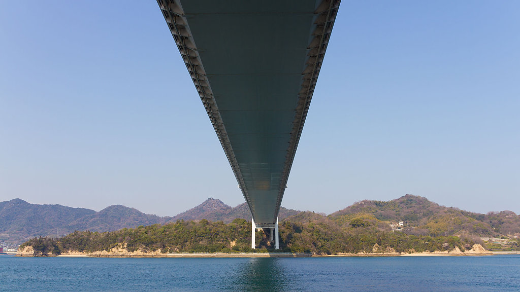 IMG-6898.jpg
