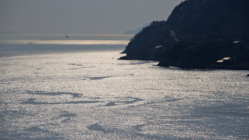 IMG-6947.jpg