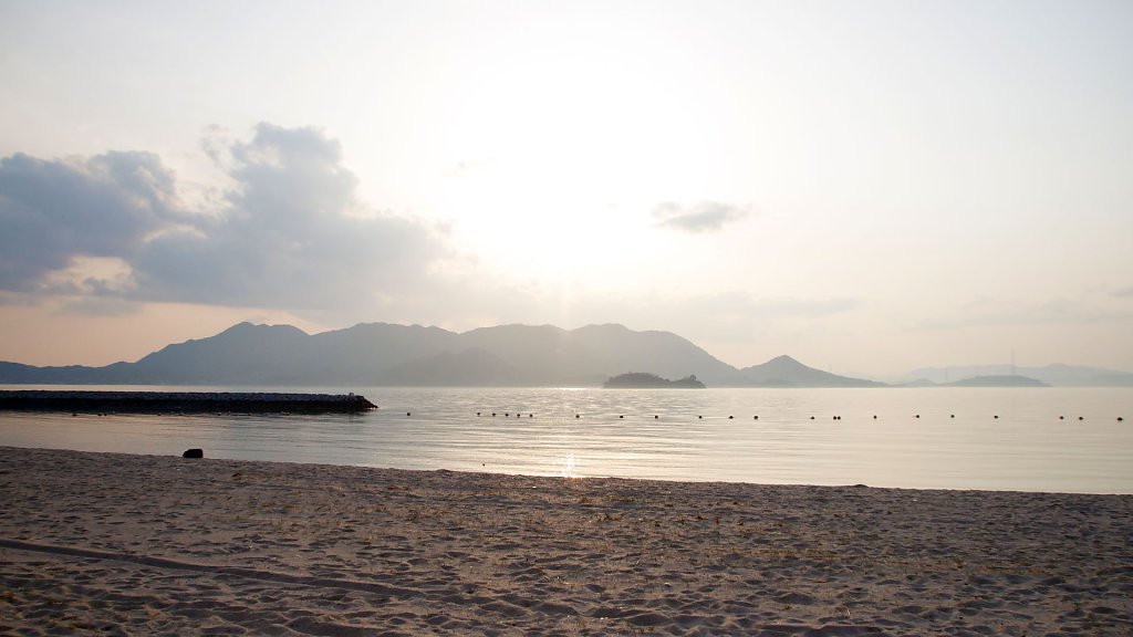 IMG-7010.jpg
