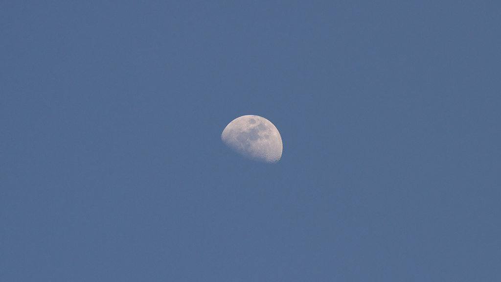 IMG-7024.jpg