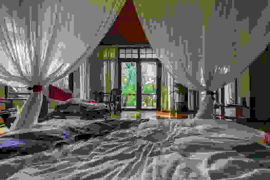 IMG-1246.jpg