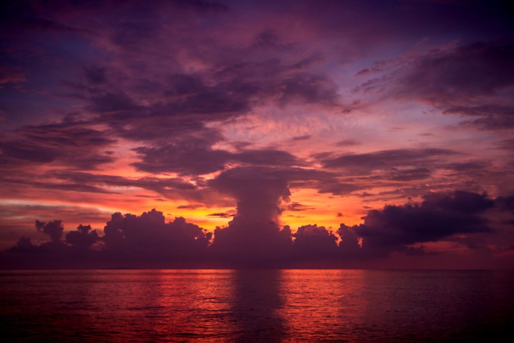 IMG-1638.jpg