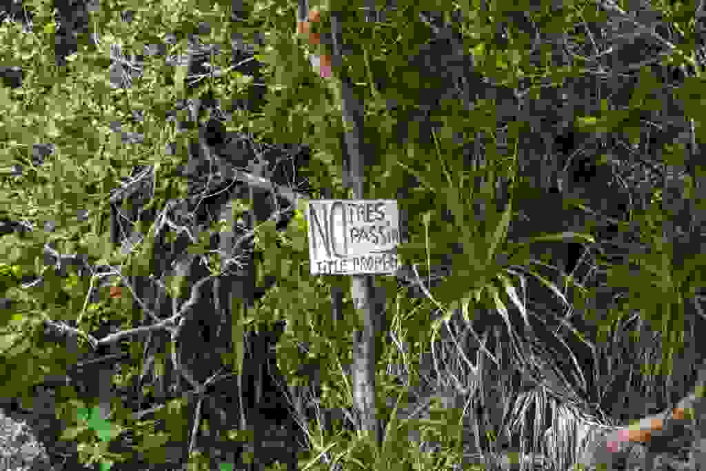 IMG-1733.jpg