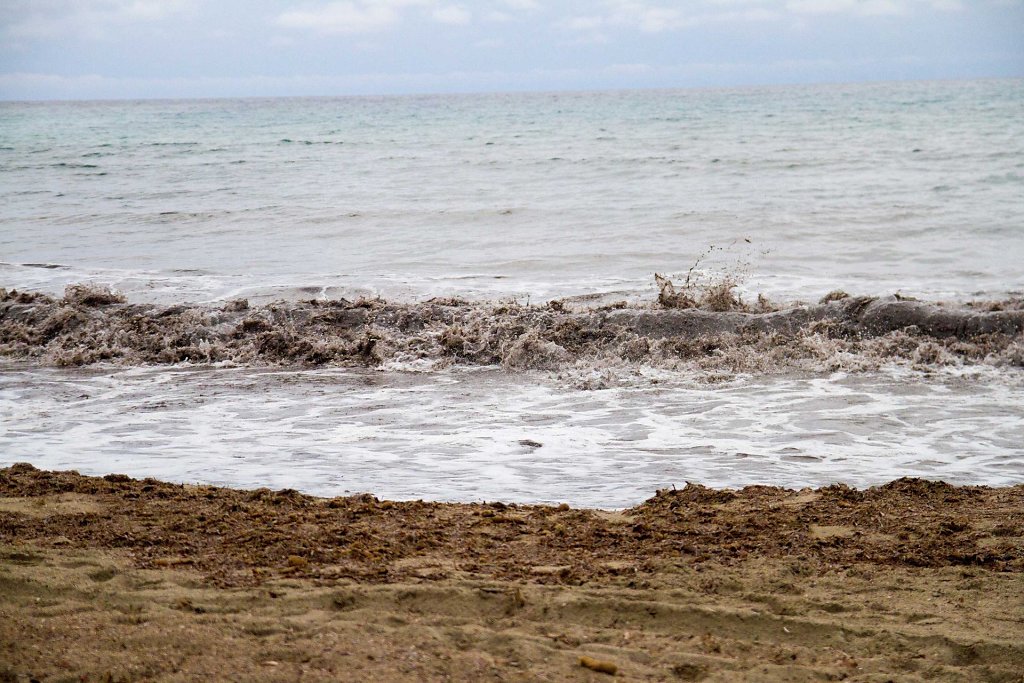 IMG-2530.jpg