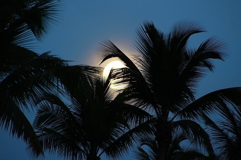 IMG-4871.jpg