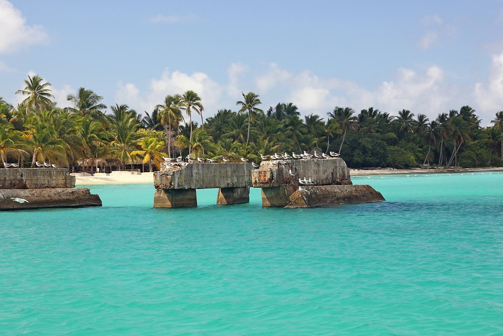 IMG-5148.jpg