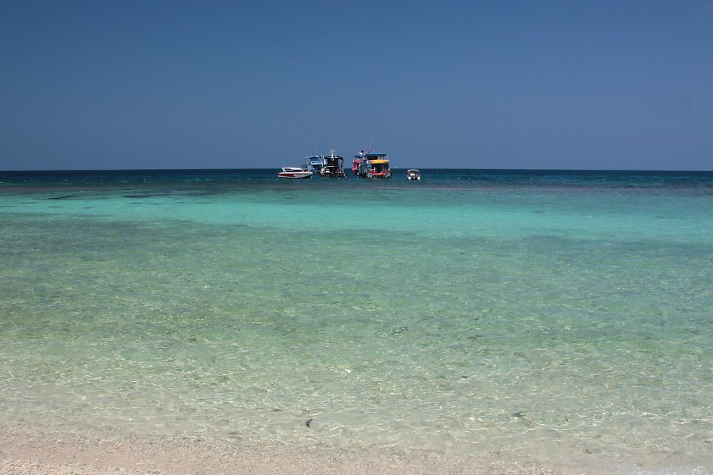 IMG-0707.jpg
