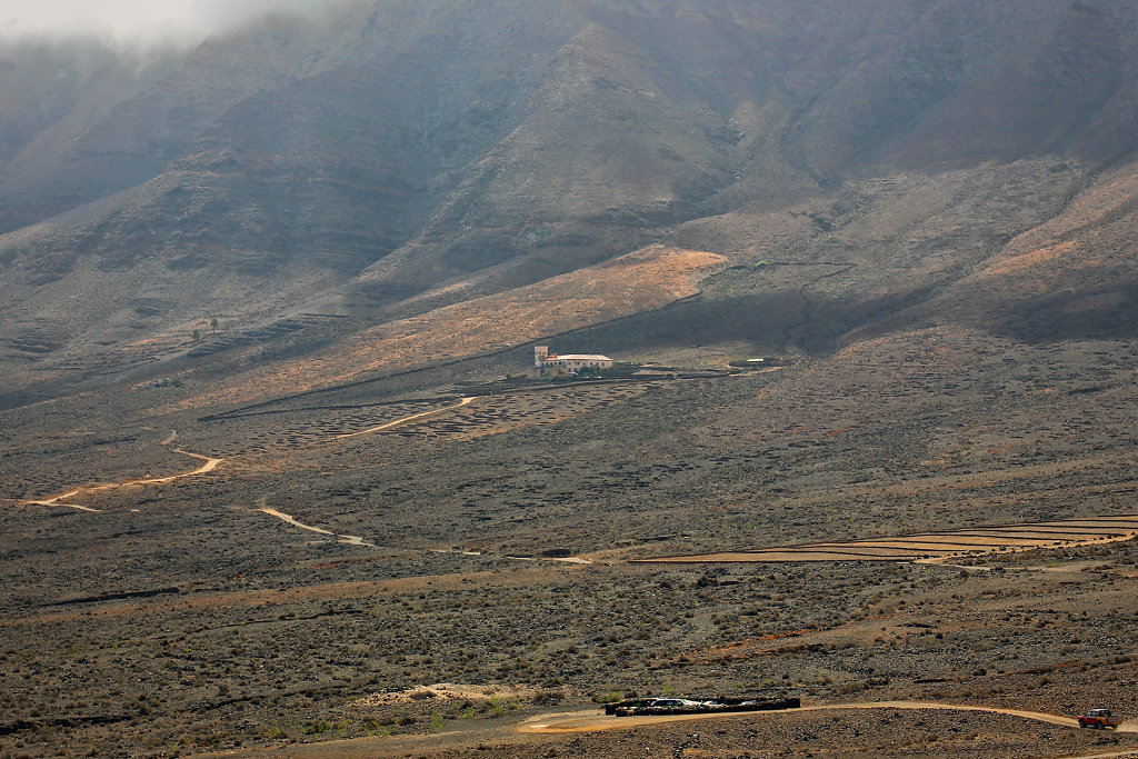 IMG-8997.jpg