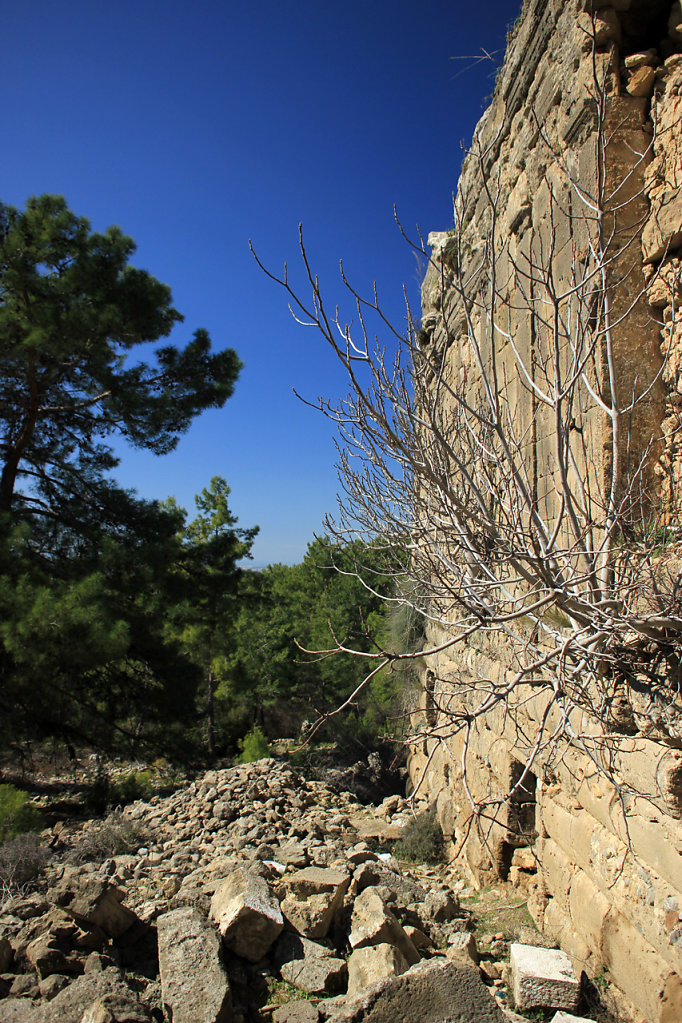 IMG-6648.jpg