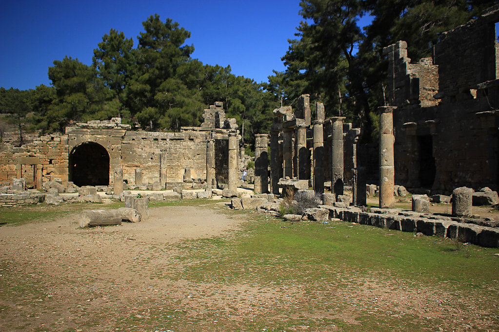 IMG-6658.jpg