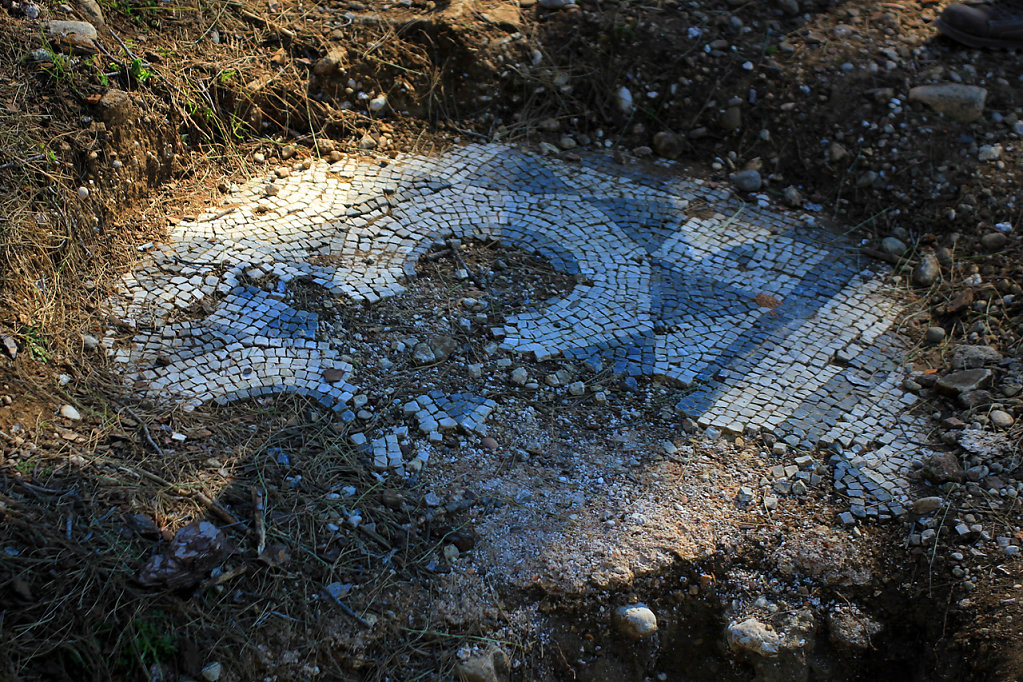 IMG-6667.jpg