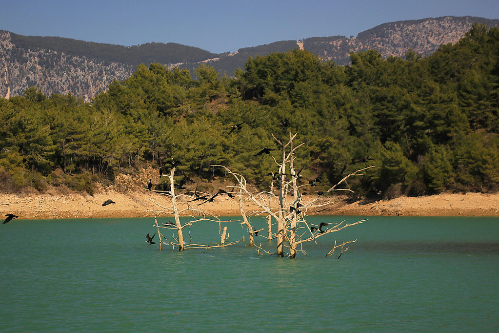 IMG-6729.jpg