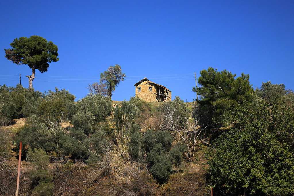 IMG-6746.jpg