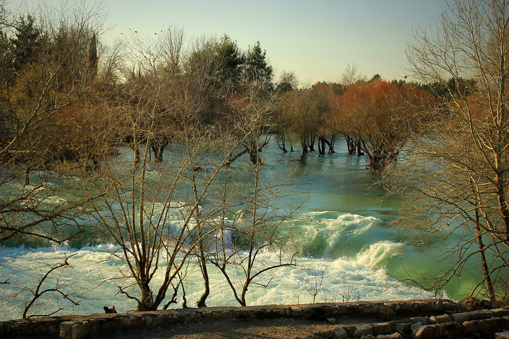 IMG-6877.jpg