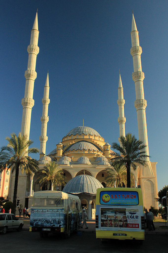IMG-6886.jpg