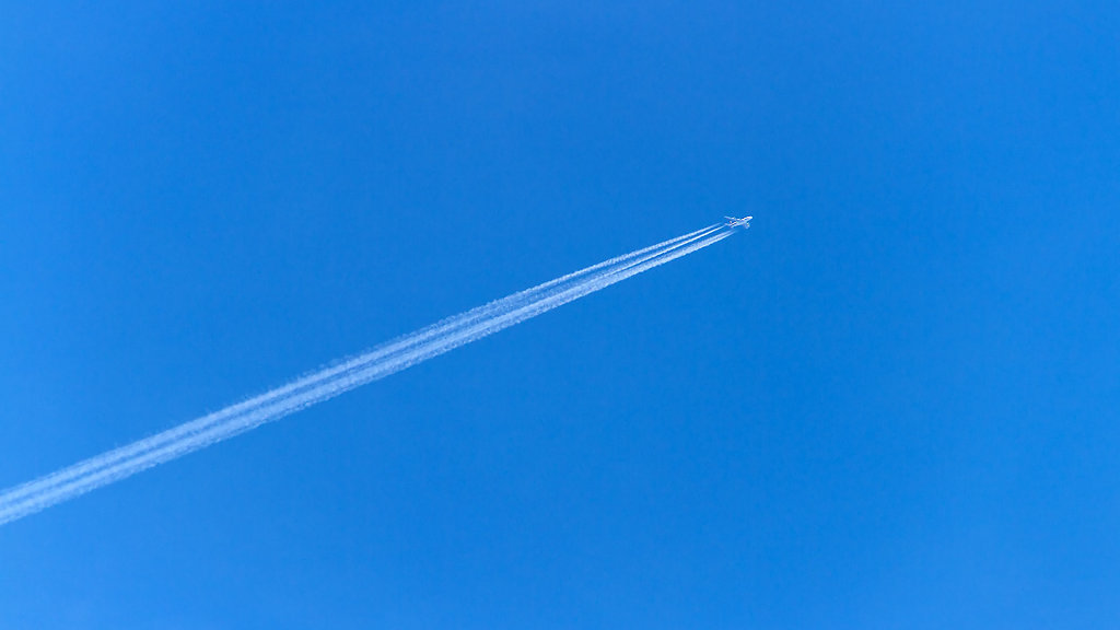 IMG-1422.jpg