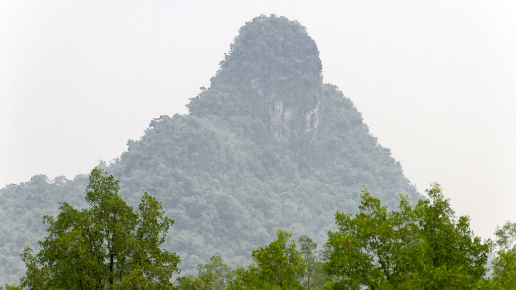 Gorilla Mountain