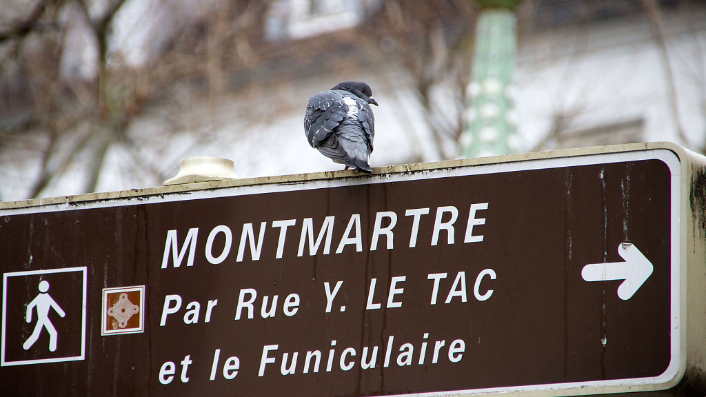 IMG-7438.jpg