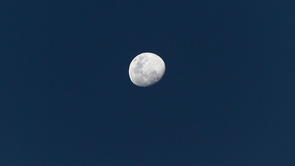 AMS-1278.jpg