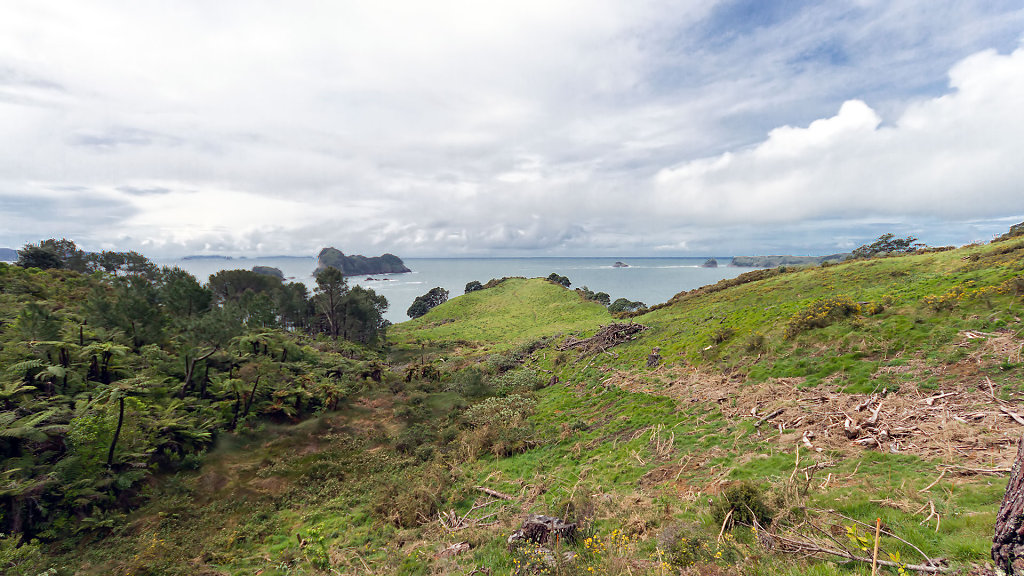 AKL-5424.jpg