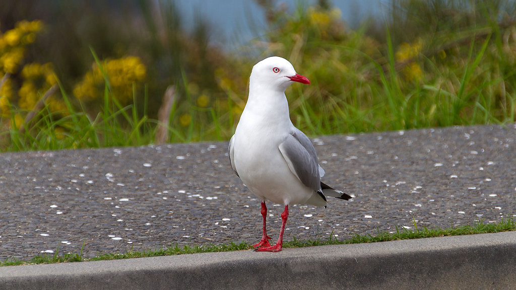 AKL-5443.jpg