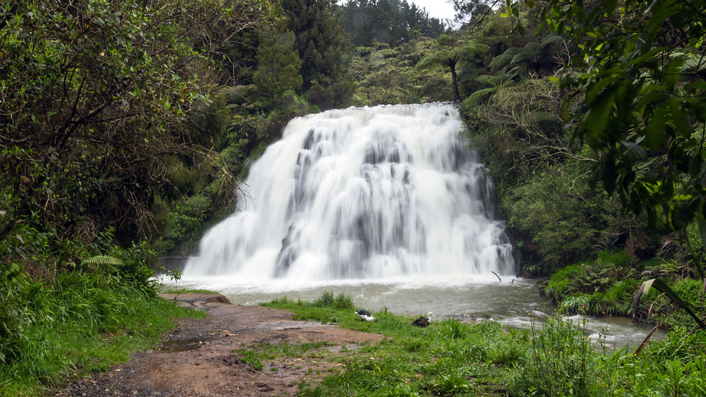 AKL-5454.jpg