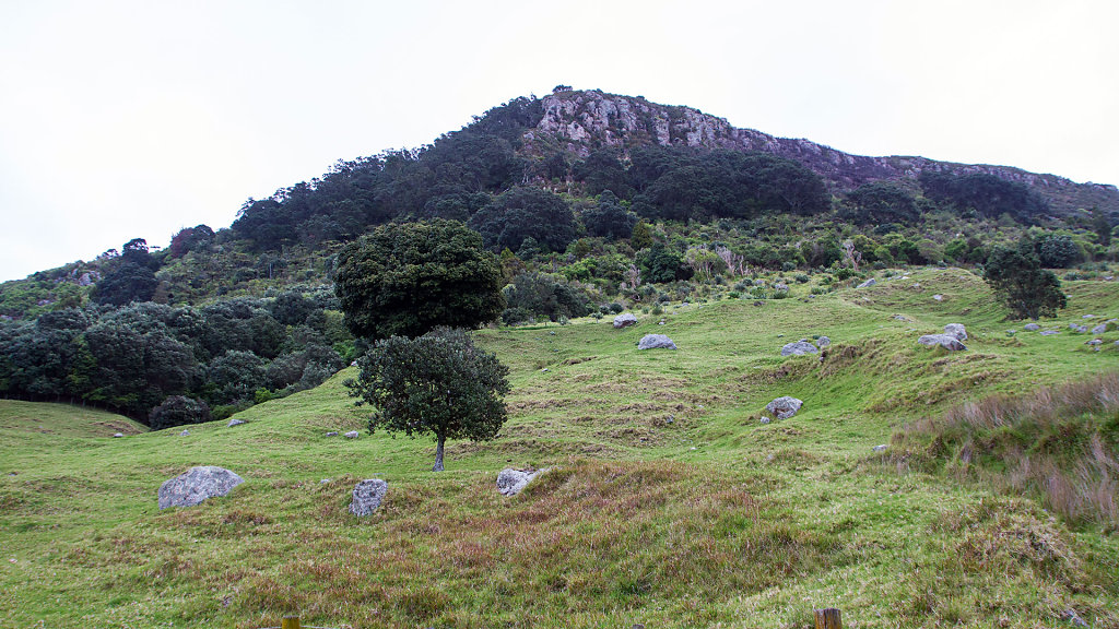 AKL-5491.jpg