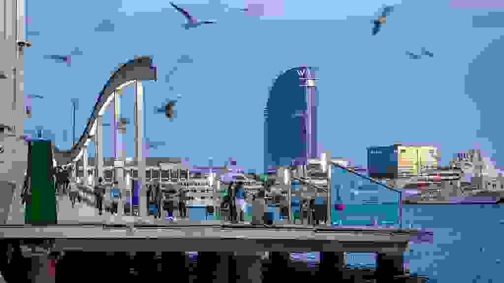 BCN-7863.jpg