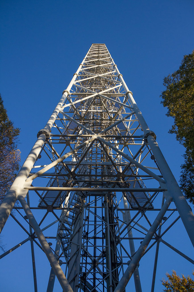 BCN-8720.jpg