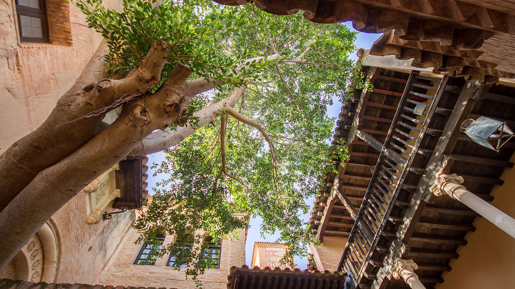 PMI-9611-HDR.jpg
