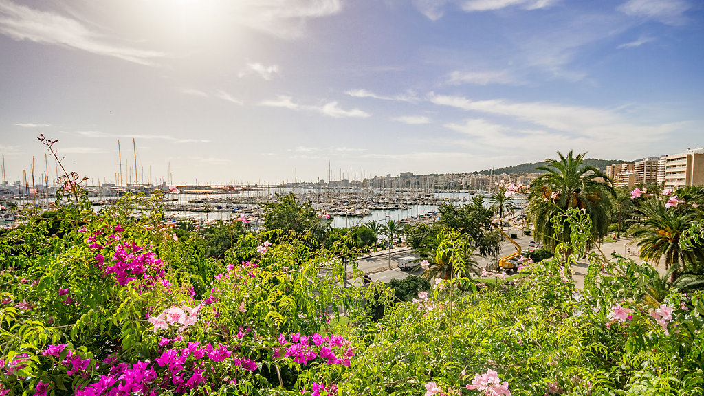 PMI-9623-HDR.jpg