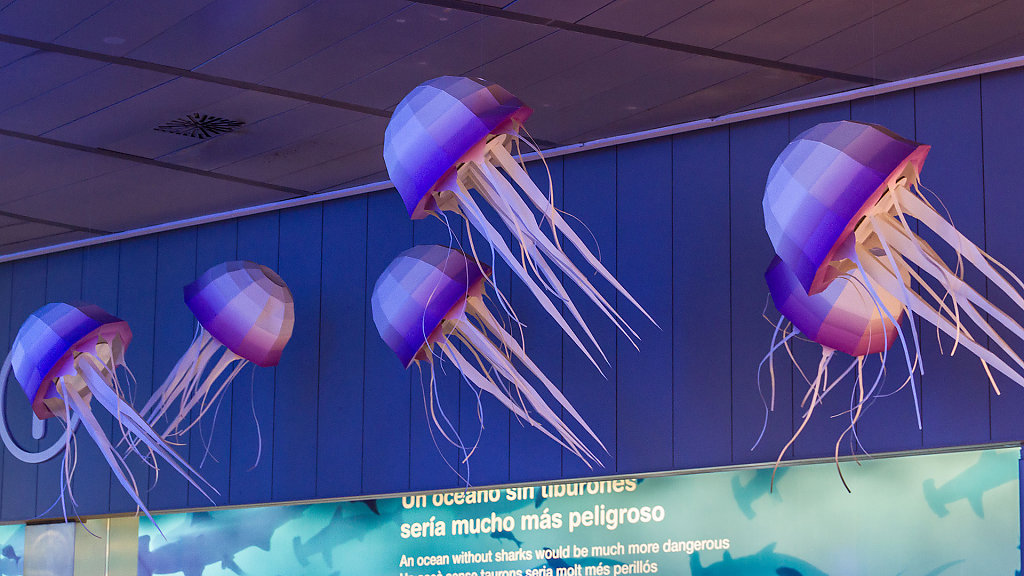 VLC-1686.jpg