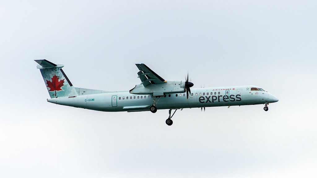 CAN-3409.jpg