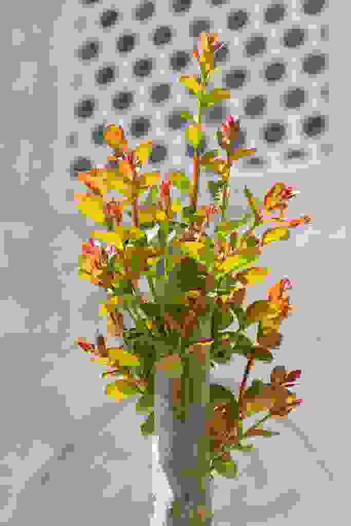 IST-0336.jpg