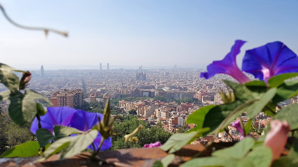 BCN-0100x.jpg