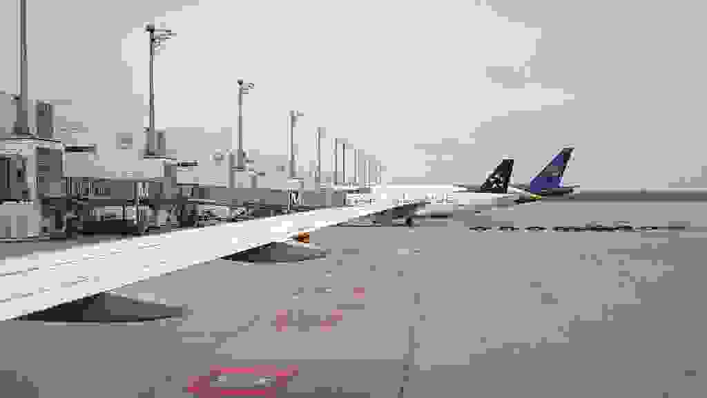 SFO-0003x.jpg