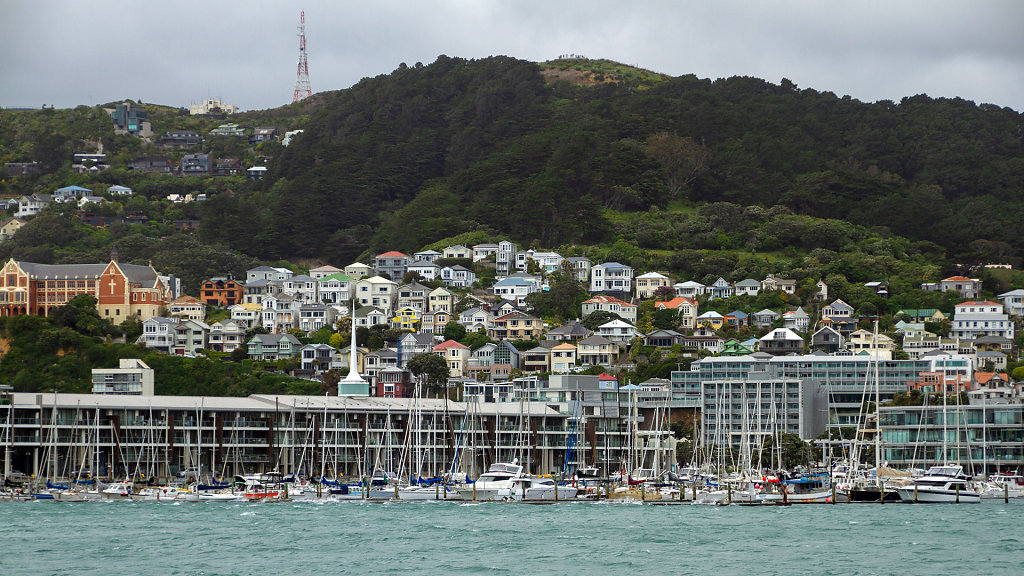 WLG-0302.jpg