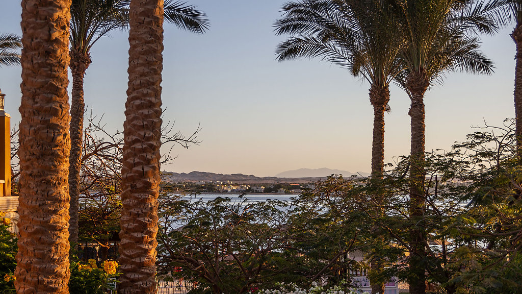 EGY-0132.jpg