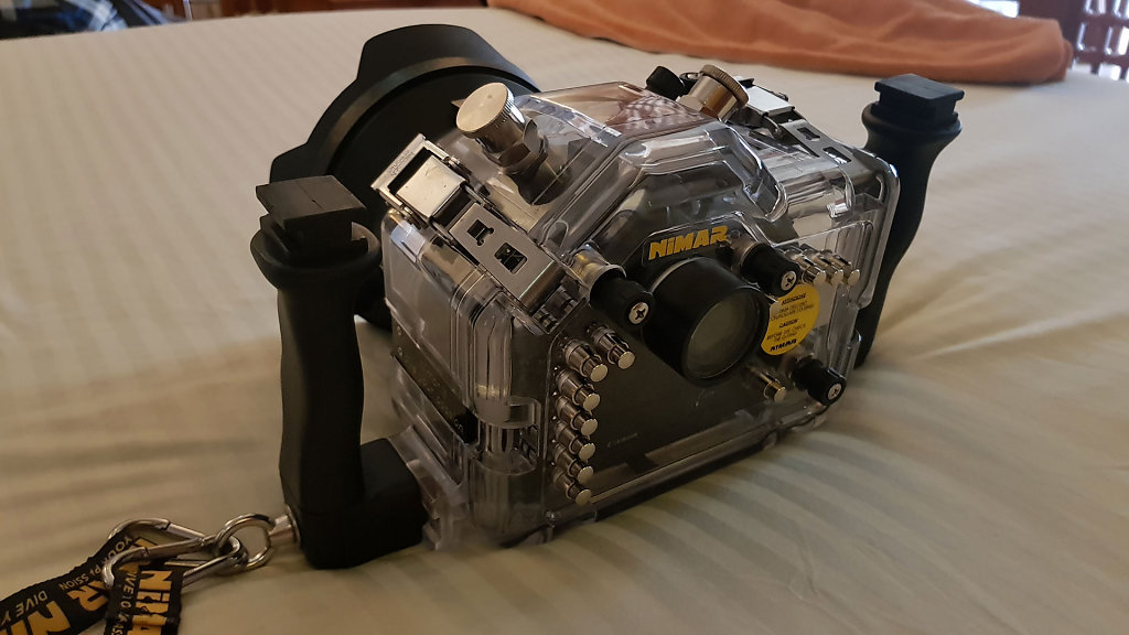 EGY-0135x.jpg
