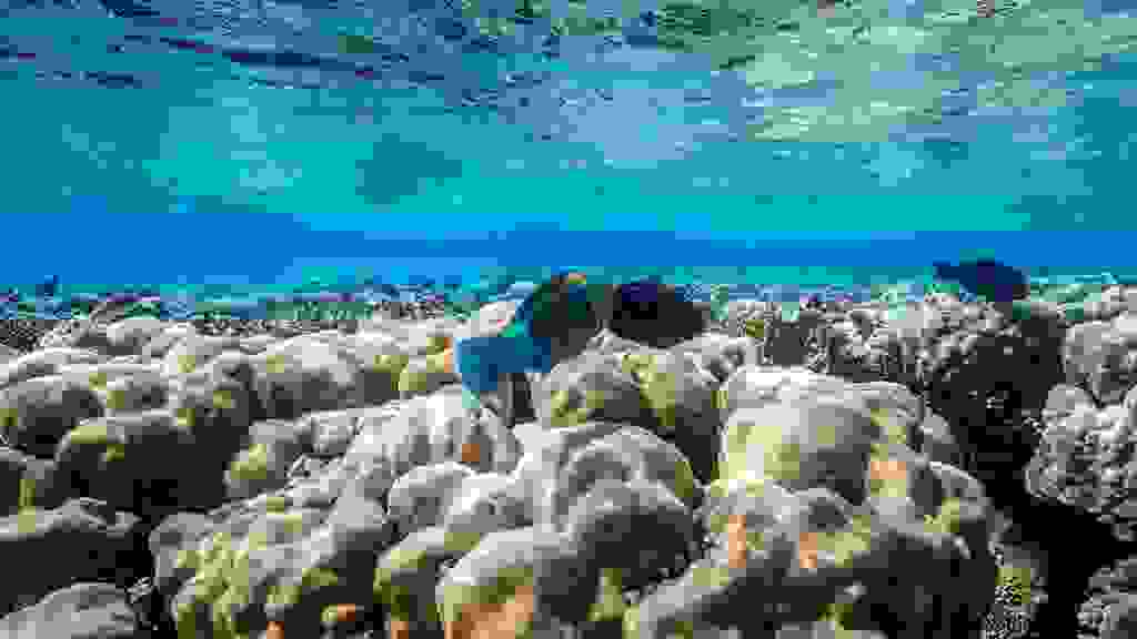 EGY-0221.jpg