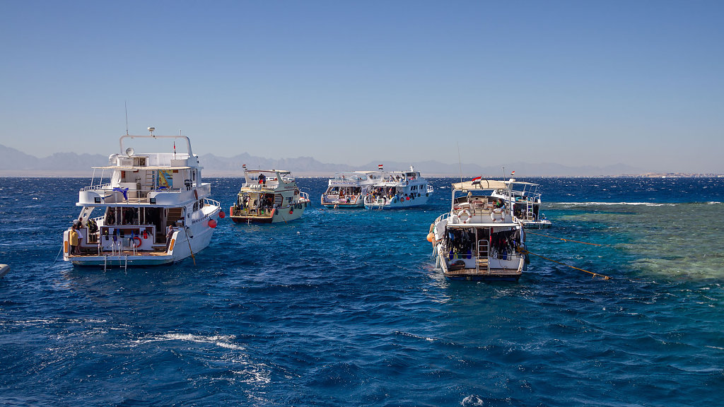 EGY-0727.jpg