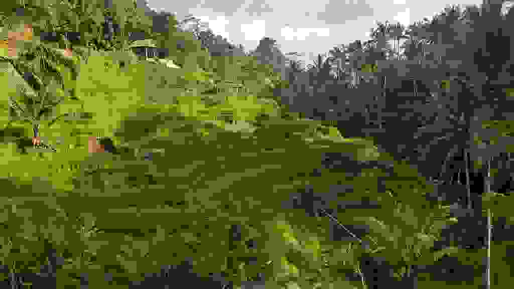 DPS-2492x.jpg