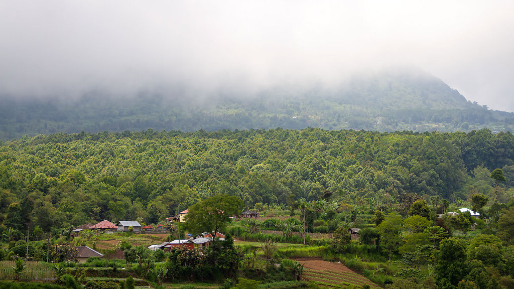 DPS-2530.jpg