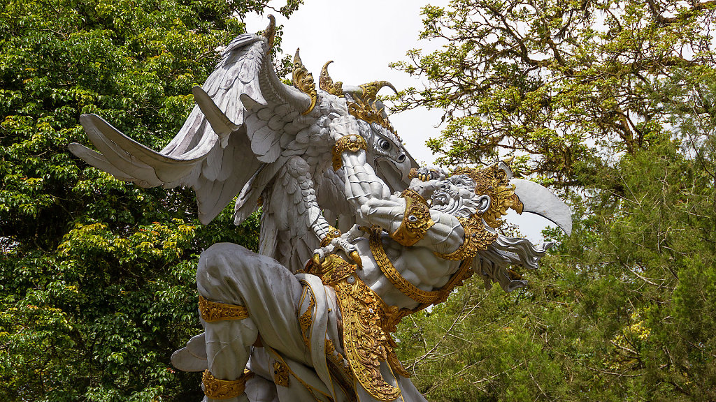 DPS-2536.jpg