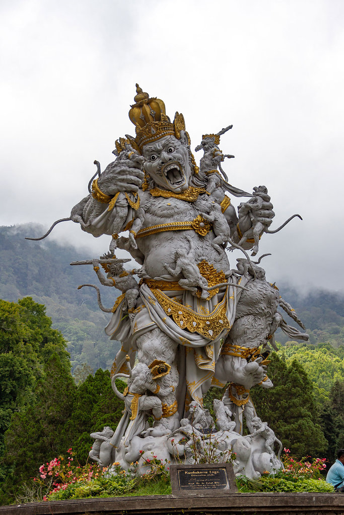 DPS-2538.jpg