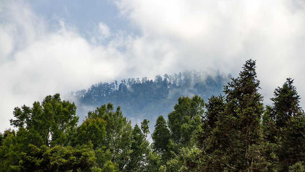 DPS-2548.jpg