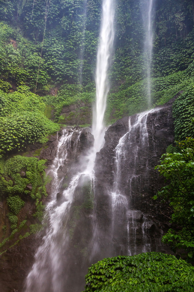 DPS-2619.jpg